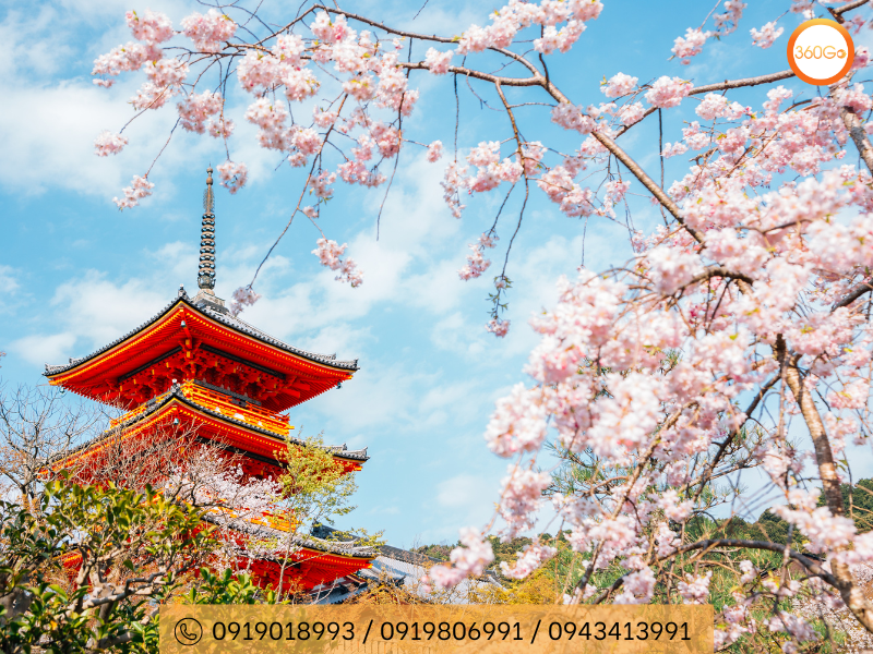 Kyoto – Cố đô huyền bí với vẻ đẹp cổ kính - Du lịch 360Go